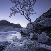 Buy canvas prints of The lone tree, Glencoe, Highlands, Scotland. by Scotland's Scenery
