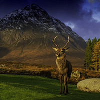 Buy canvas prints of Glencoe, highlands, scotland. by Scotland's Scenery