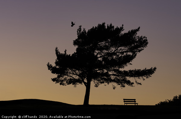 sunset bench Picture Board by Scotland's Scenery