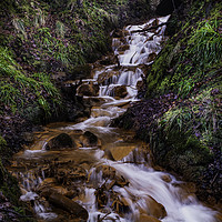 Buy canvas prints of Blairadam forest falls by Scotland's Scenery