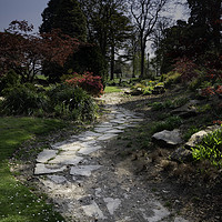 Buy canvas prints of Pathway to Bliss by Scotland's Scenery