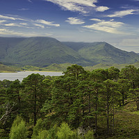 Buy canvas prints of Glen Affric View by Scotland's Scenery