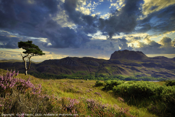 Loch maree Landscape, Highlands, Scotland. Picture Board by Scotland's Scenery