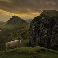 Buy canvas prints of The Quiraing by Scotland's Scenery