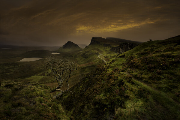 The Quiraing, Isle of Skye Picture Board by Scotland's Scenery