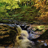 Buy canvas prints of Birks of Aberfeldy, highlands, scotland. by Scotland's Scenery