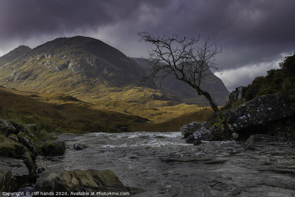 The lone tree, glencoe. Picture Board by Scotland's Scenery