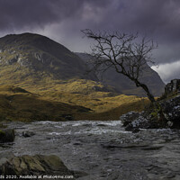 Buy canvas prints of The lone tree, glencoe. by Scotland's Scenery