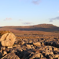 Buy canvas prints of Boulder in Ribblesdale with Pen-y-Ghent by Samuel Davis