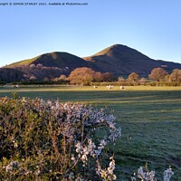 Buy canvas prints of Spring sunrise on Caer Caradoc, Shropshire by SIMON STAPLEY