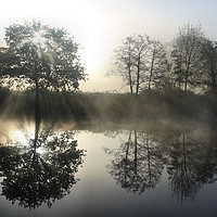Buy canvas prints of MISTY TREES AND RIVER AT SUNRISE by SIMON STAPLEY