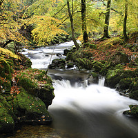 Buy canvas prints of AUTUMN WOODLAND AND RIVER by SIMON STAPLEY
