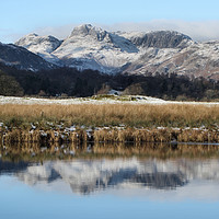 Buy canvas prints of WINTER LANGDALE PIKES by SIMON STAPLEY
