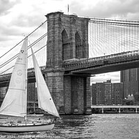 Buy canvas prints of Majestic Sailing under Brooklyn Bridge by Dean Packer