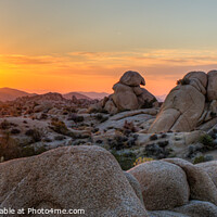 Buy canvas prints of Sunrise at Joshua Tree Park by Dean Packer