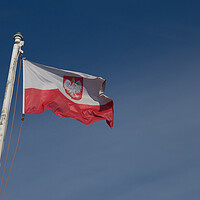 Buy canvas prints of Polish Flag by Christopher Stores