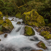 Buy canvas prints of Waterfall in the South Island of New Zealand by Christopher Stores