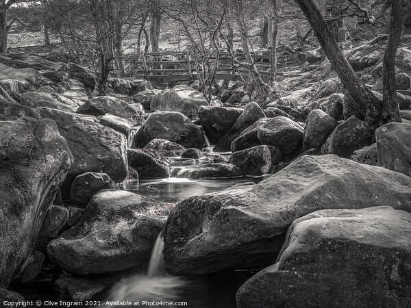 Spring at Padley Gorge Picture Board by Clive Ingram