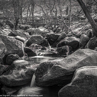 Buy canvas prints of Spring at Padley Gorge by Clive Ingram