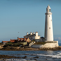 Buy canvas prints of Majestic St Marys Lighthouse by Clive Ingram