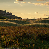 Buy canvas prints of Majestic Bamburgh Castle at Golden Hour by Clive Ingram