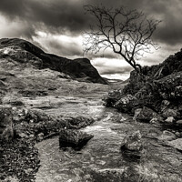 Buy canvas prints of Lone tree and mountain background mono by Clive Ingram