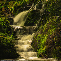 Buy canvas prints of Badger Dingle waterfall by Clive Ingram