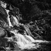 Buy canvas prints of Welsh mountain stream by Clive Ingram