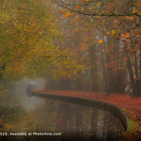Misty Autumn Canal, Shropshire Union