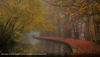 Click to show how this picture will look as a piece of wall art