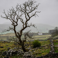 Lonely Farmhouse in Moody Yorkshire