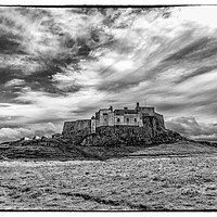 Buy canvas prints of Black and white of Lindisfarne Castle by Clive Ingram