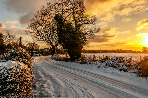 Winter Wonderland Picture Board by Clive Ingram