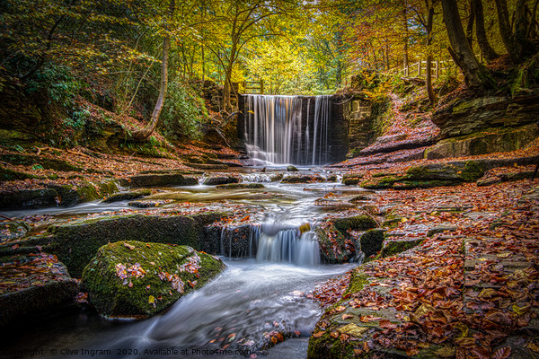Autumn waterfall. Picture Board by Clive Ingram
