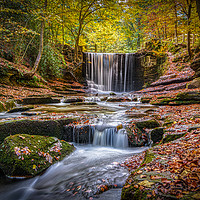 Buy canvas prints of Autumn waterfall. by Clive Ingram