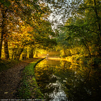 Buy canvas prints of Autumn gold by Clive Ingram