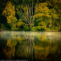 Buy canvas prints of Reflections of autumn by Clive Ingram