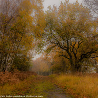 Buy canvas prints of The mellow mists of autumn. by Clive Ingram