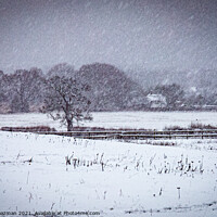 Buy canvas prints of Winter snowfall on fields by Peter Boazman