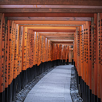 Buy canvas prints of Fushimi Inari by Ben Griffin