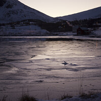 Buy canvas prints of Frozen sea in Norway by Amanda Hart