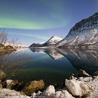 Buy canvas prints of Northern lights over a fjord in Norway by Amanda Hart