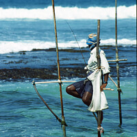 Buy canvas prints of Stilt fisherman, Sri Lanka by Amanda Hart