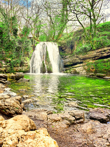 Janet's Foss Waterfall Yorkshire Dales National Pa Picture Board by simon cowan
