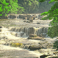 Buy canvas prints of Aysgarth falls by simon cowan