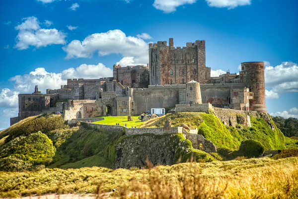 Bamburgh Castle, on the  Northumberland coast Picture Board by simon cowan