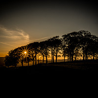 Buy canvas prints of Sunset at the Elephant Trees, Menston, Yorkshire by Robin Dearden