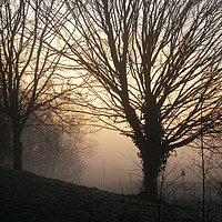 Buy canvas prints of Cantley, on a misty winter's morning  by Lewis Platten