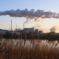 Buy canvas prints of The British Sugar Factory at Sun rise, Cantley by Lewis Platten