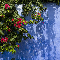 Buy canvas prints of blue wall with flowers  by hector Christiaen